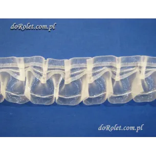 Taśma  smok 1:2,5 .szer. 5 cm.