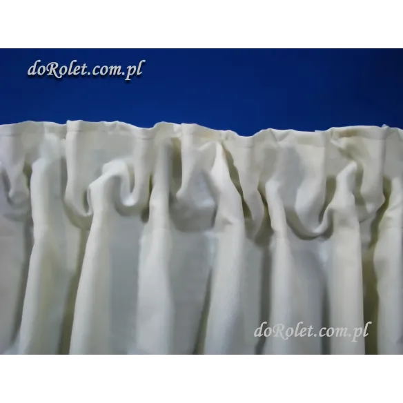 Taśma smok 1:2,5 szer. 10 cm.