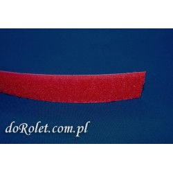 Rzep miękki czerwony. 