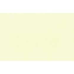 Tkanina zaciemniająca do rolet zwijanych Blackout ecru 056