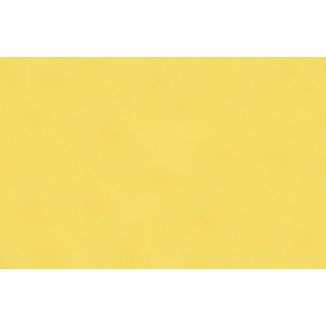 Verdunkelungsstoff Gelb 059 für Rollo nach Maß | Dorolet