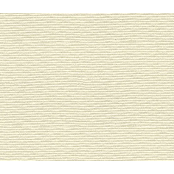 Waterproof Awning Fabric Solids R060 Ecru | Dorolet